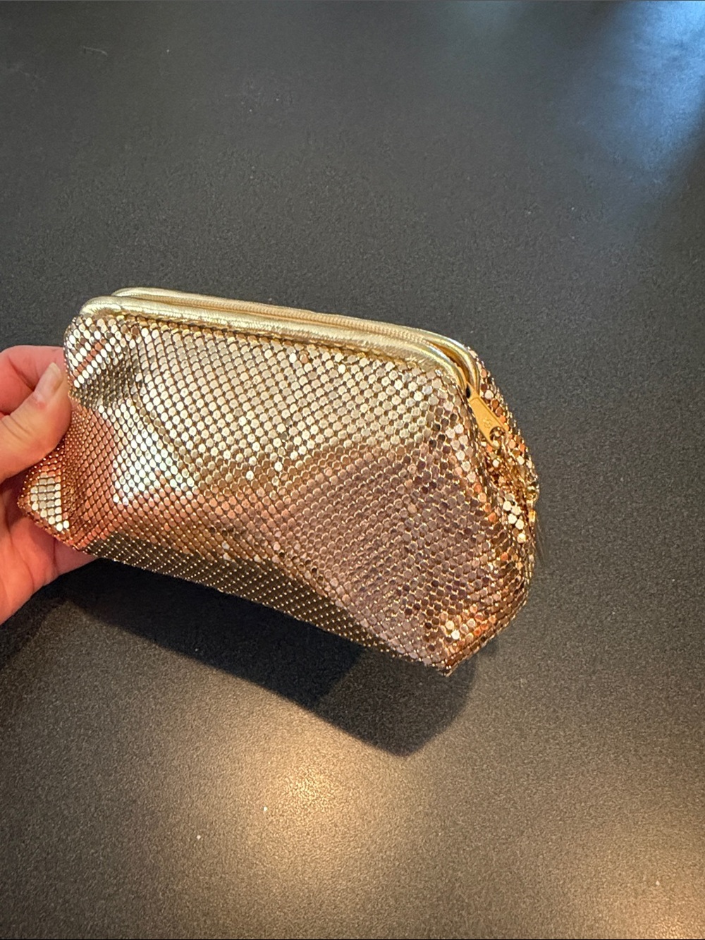 Whiting & Davis Gold Mesh Cosmetic Zip Pouch